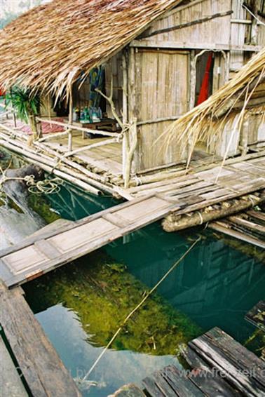 12 Thailand 2002 F1090034 Khao Lak Ausflug Khao Sok_478